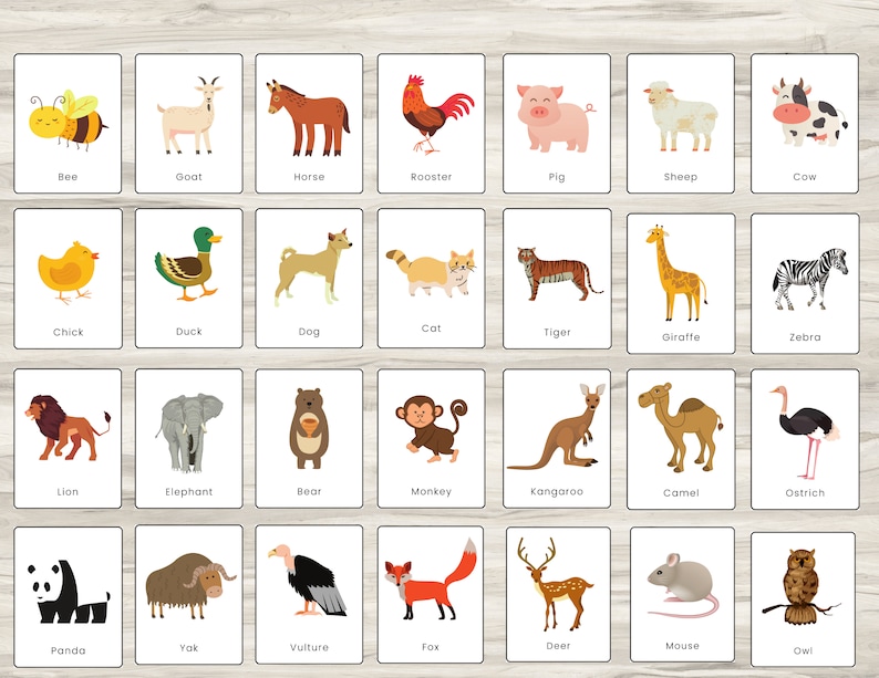 Printable Educational Flash Cards for Toddlers Instant - Etsy