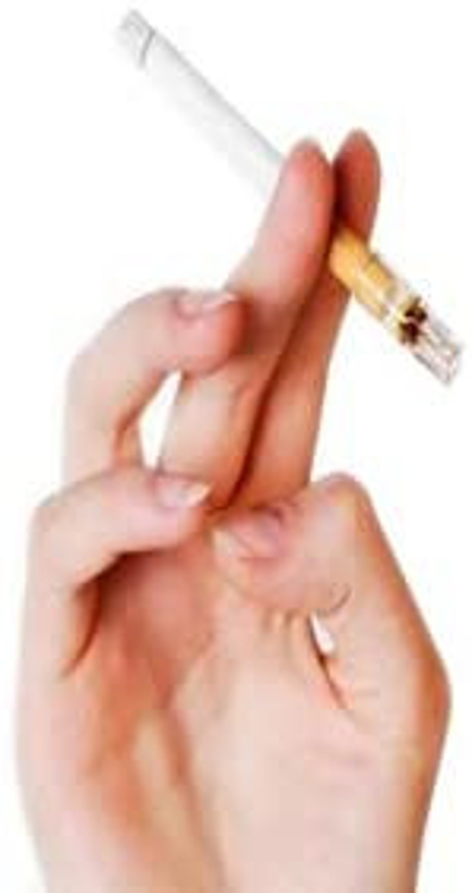 Efficient Cigarette Filter Tips Holders 8 Holes Regular Size Etsy