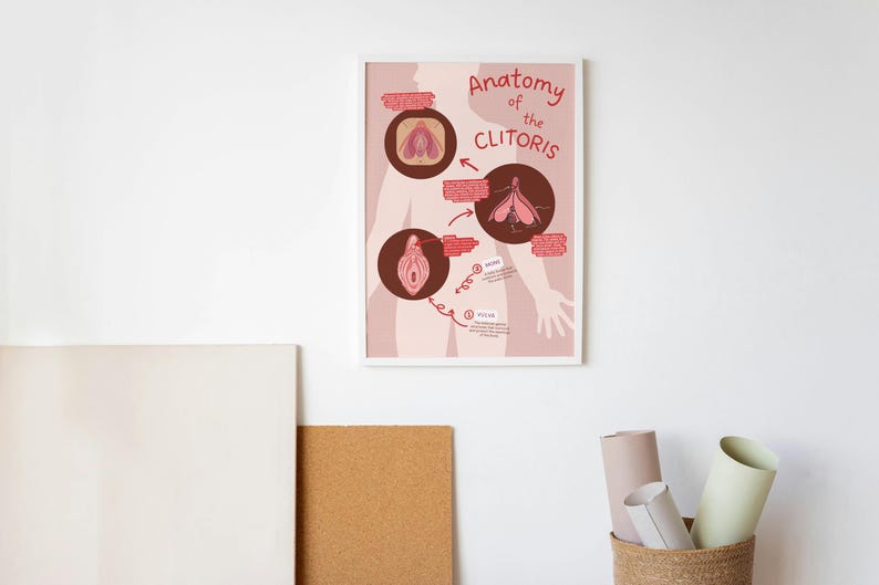 Cletorius Anatomy of the Clitoris Educational Poster | 24x36, 16x20 & 8.5x11 ...