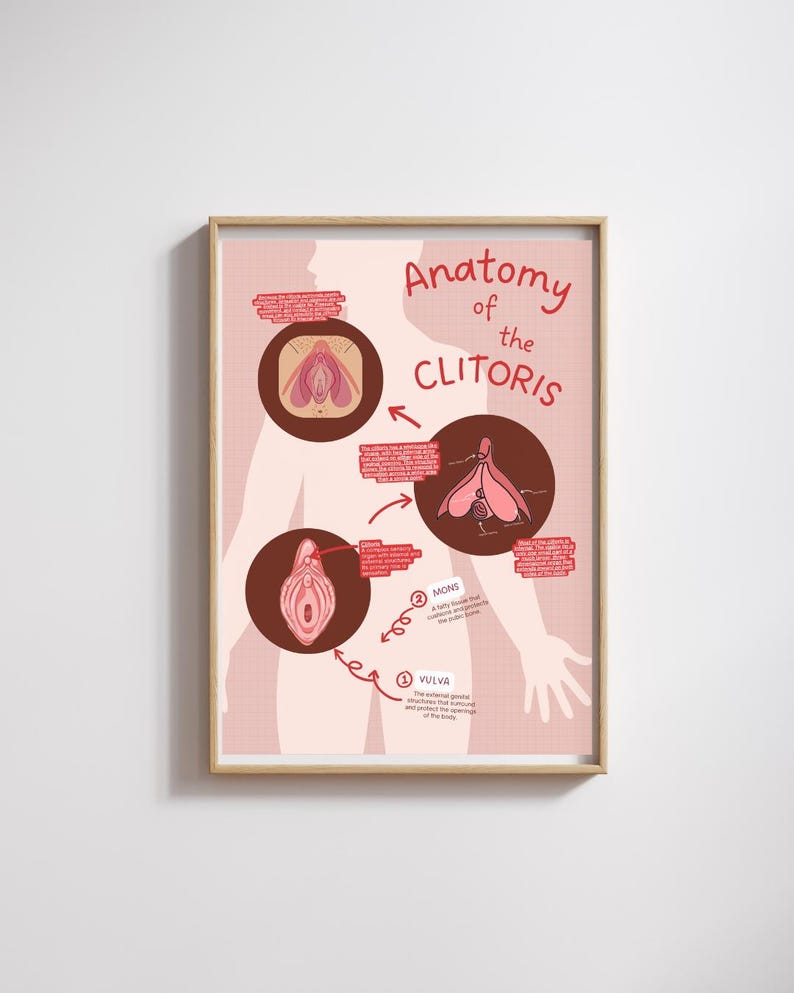 Cletorius Anatomy of the Clitoris Educational Poster | 24x36, 16x20 & 8.5x11 ...