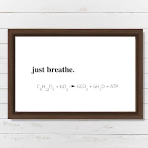 Just Breathe Print, Chemistry Print, Respiration Chemical Formula, Wall Print, Science Poster, Chemistry Gift