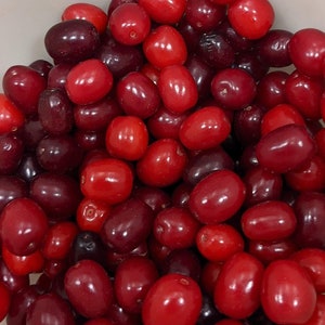 An Early Blooming Tree- Cornelian Cherry (Cornus Mas) with Prized Fruit