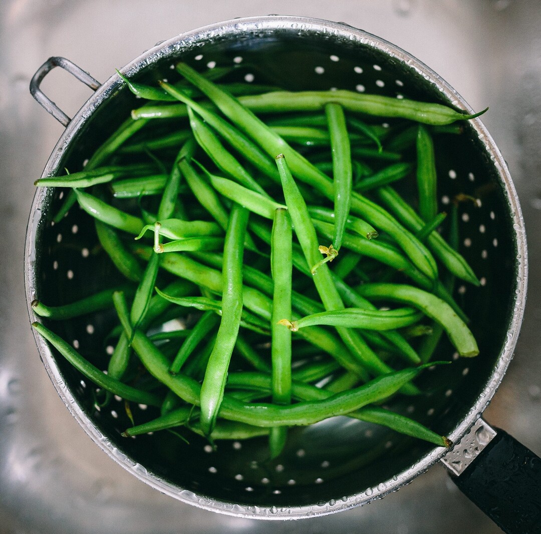Jade Green Bush Beansclassic Green Bean of the Finest Quality Etsy Canada