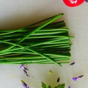 Mehrjähriges Kraut Einfach zu ziehende Schnittlauchsamen Salatverstärker, Garnierung, Geschmacksstoff. Essbare Blüten Bild 2