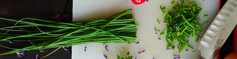 Mehrjähriges Kraut Einfach zu ziehende Schnittlauchsamen Salatverstärker, Garnierung, Geschmacksstoff. Essbare Blüten Bild 2