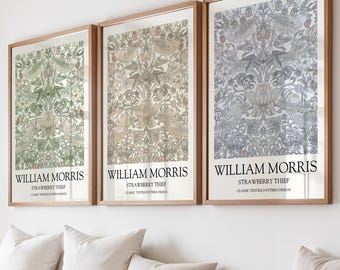 William Morris Strawberry Thief Print Set of 3: Vintage Floral Wall Art