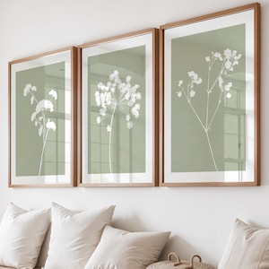 May include: A set of three framed wall art prints featuring white botanical illustrations of wildflowers on a sage green background. Each print is encased in a light wood frame, displaying delicate floral stems and blossoms in a vertical orientation.