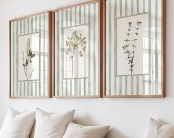 Sage Green Floral Wall Art Prints Set of 3: Cottage Style Dried Flowers, Green Decor