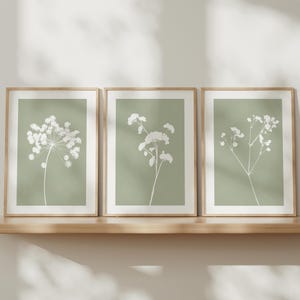 Sage Green Botanical Floral Wall Art Prints, Set of 3: Cottage Style Dried Flowers, Sage Green Wall Art, Beige Grey, Dusty Pink