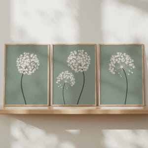 Peut inclure: Trois cadres muraux rectangulaires en bois clair, chacun présentant une illustration de pissenlit blanc sur un fond vert sauge doux. Les impressions sont disposées côte à côte, montrant des tiges florales et des aigrettes délicates.