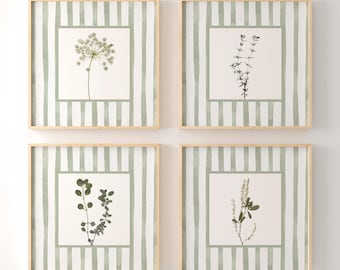 Sage Green Floral Wall Art Prints Set of 4: Square Wall Decor, Cottage Style Dried Flowers, Green Decor