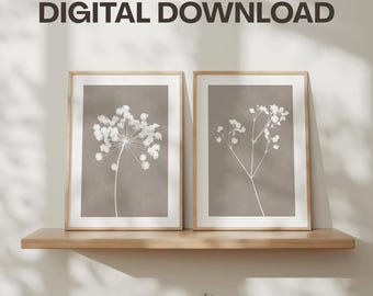 Beige Grey Floral Prints, Set of Two: Cottage Style Dried Flowers Wall Art