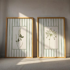 Peut inclure: Deux impressions botaniques encadr&eacute;es. Chacune pr&eacute;sente une illustration de plante dans un cadre rectangulaire, sur un fond de rayures verticales vertes claires et blanches. Les cadres sont de couleur marron clair et chaud.