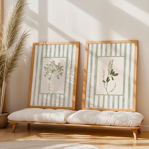 Peut inclure: Deux cadres avec des impressions botaniques sur fond ray&eacute; vert clair et des cadres en bois. Les impressions pr&eacute;sentent des illustrations de plantes d&eacute;licates. Elles sont expos&eacute;es sur un banc en bois avec des coussins blancs.