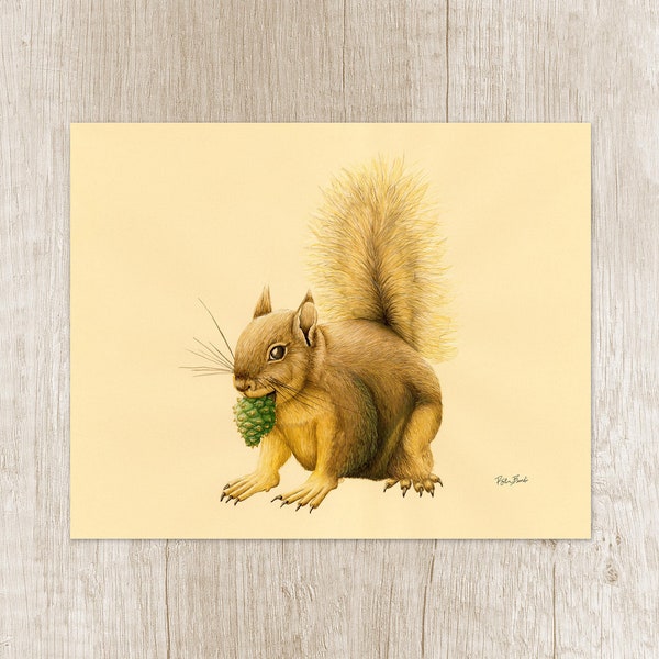 Squirrel Art Print. Wildlife portrait for nature lover gift. Unusual home decor of forest animal artwork. Woodland creature art for nursery