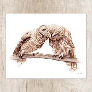 Owl art print. Bird of prey watercolor painting. Cute illustration of forest animal. Wildlife drawing wall decor. Artwork gift bird lovers