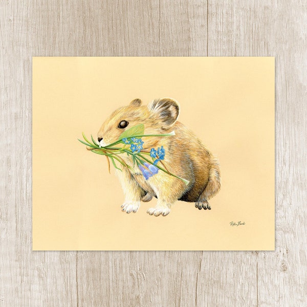 Pika Art Print. Wildlife portrait for nature lover gift. Unusual home decor of forest animal artwork. Woodland creature wall art painting