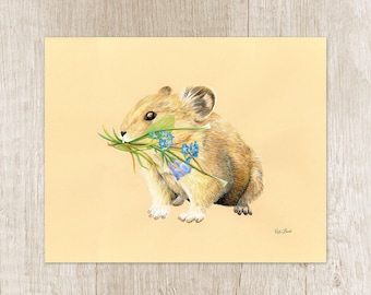 Pika Art Print. Wildlife portrait for nature lover gift. Unusual home decor of forest animal artwork. Woodland creature wall art painting
