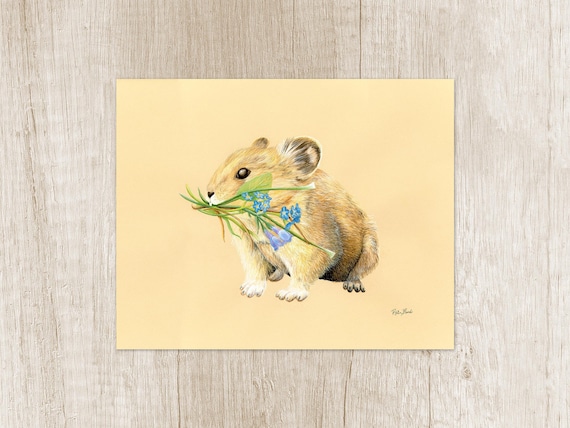 Pika Art Print. Wildlife Portrait for Nature Lover Gift. Unusual