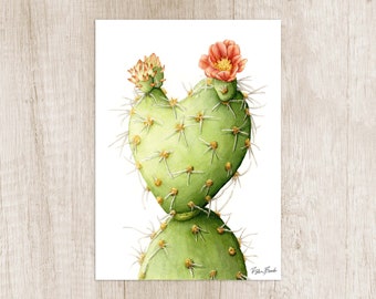 Heart shape blooming cactus. Botanical cactus watercolor painting. Gift for plant lover. Nature art print. Artwork for walls cactus print.