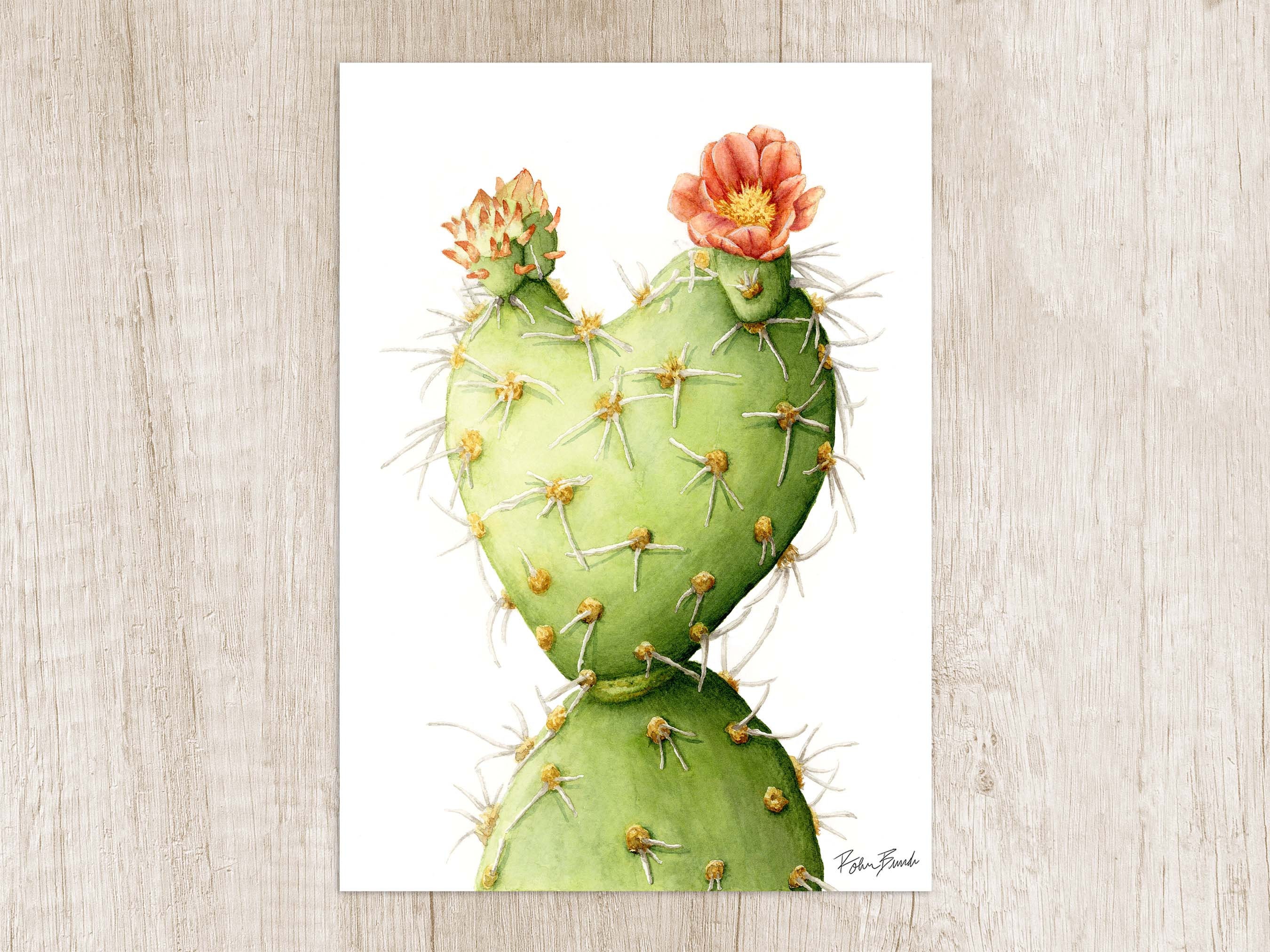 Heart Shape Blooming Cactus. Botanical Cactus Watercolor Painting. Gift for  Plant Lover. Nature Art Print. Artwork for Walls Cactus Print. - Etsy