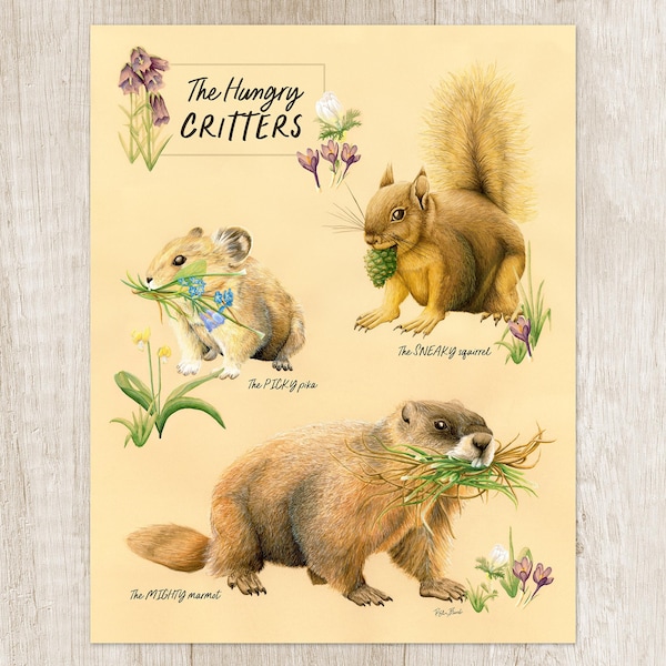 Marmot, Pika, Squirrel Art Print. Wildlife portrait as nature lover gift. Field guide, art for nursery. Unusual home decor of forest animal