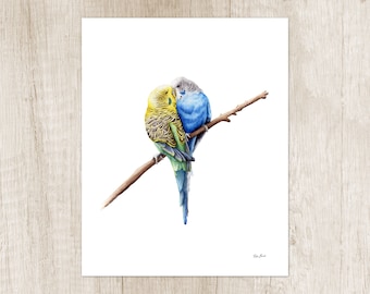 Budgie art print. Bird couple portrait watercolor painting. Cute budgie illustration. Pet drawing. Home wall decor. Artwork gift bird lovers