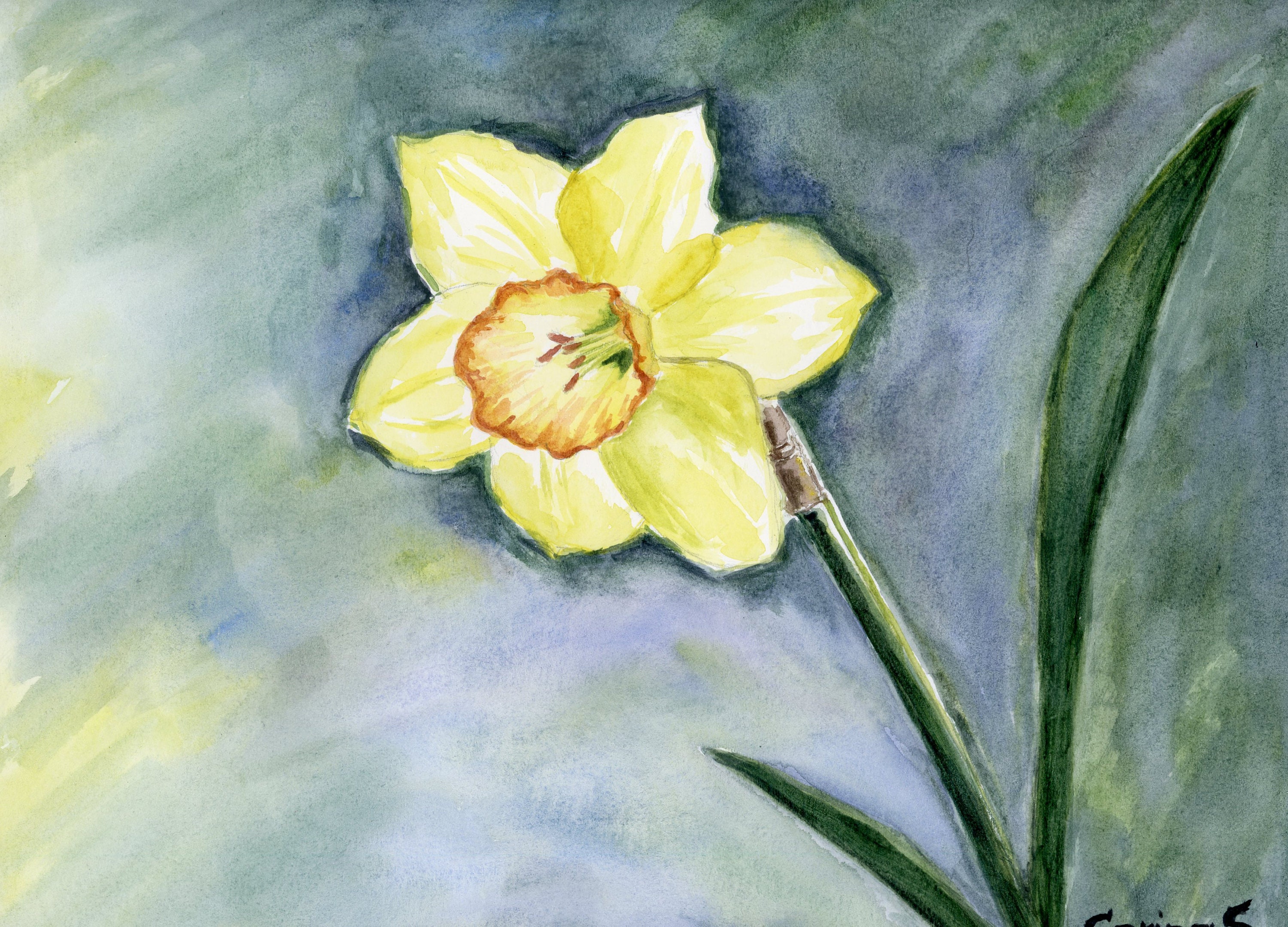 Aquarelle Peinture jonquille, Aquarelle Fleur Jaune, Peinte à la main ...
