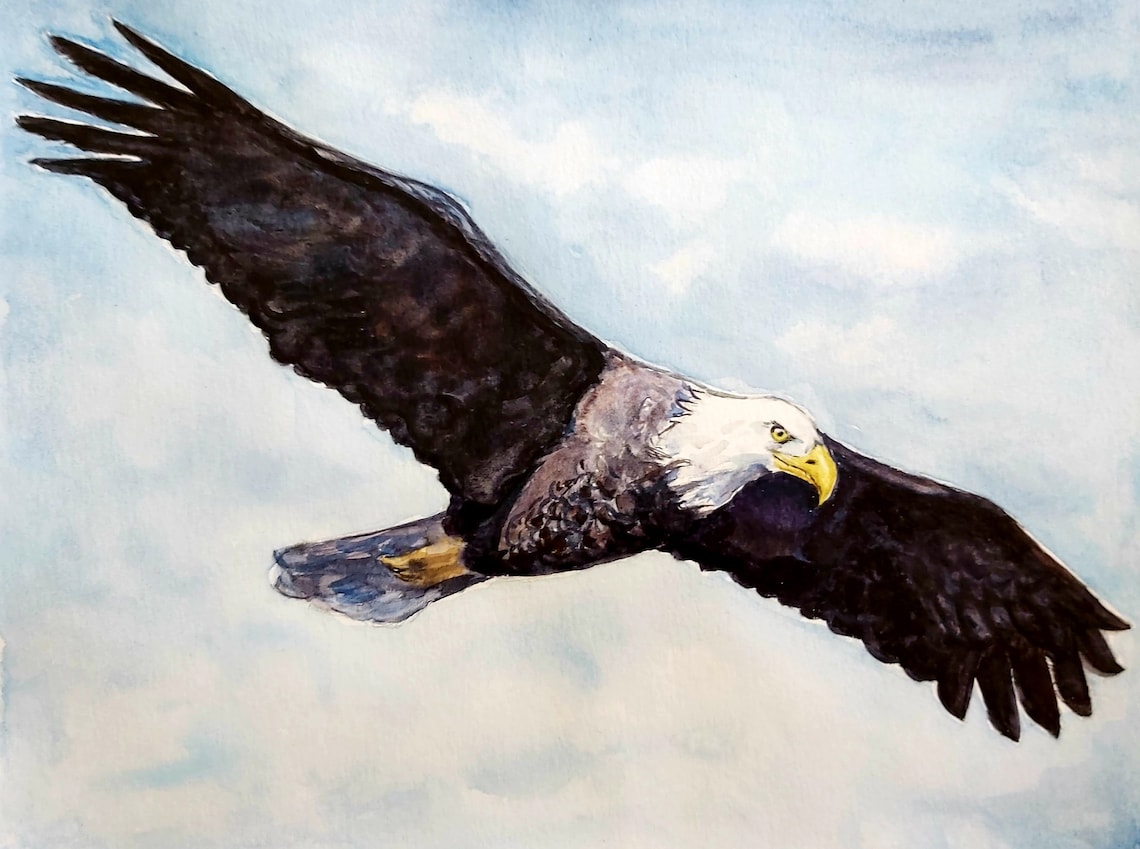 Watercolor Eagle Print Fine Art Soaring Eagle Print Bald Etsy
