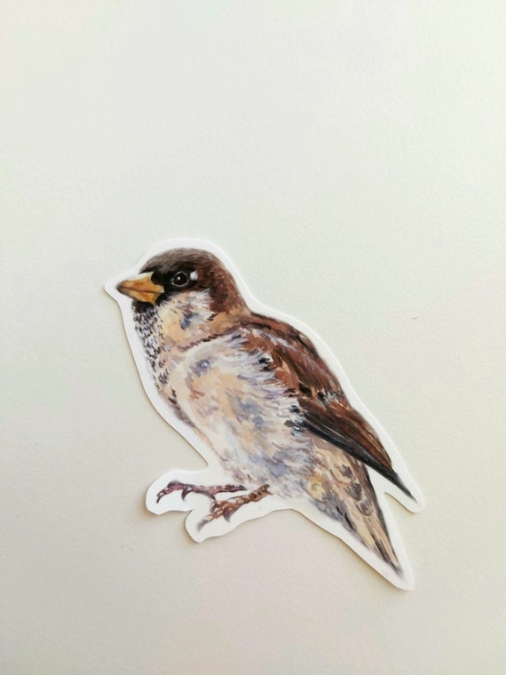 gorrión pegatinas de de pájaro gorrión de Etsy España