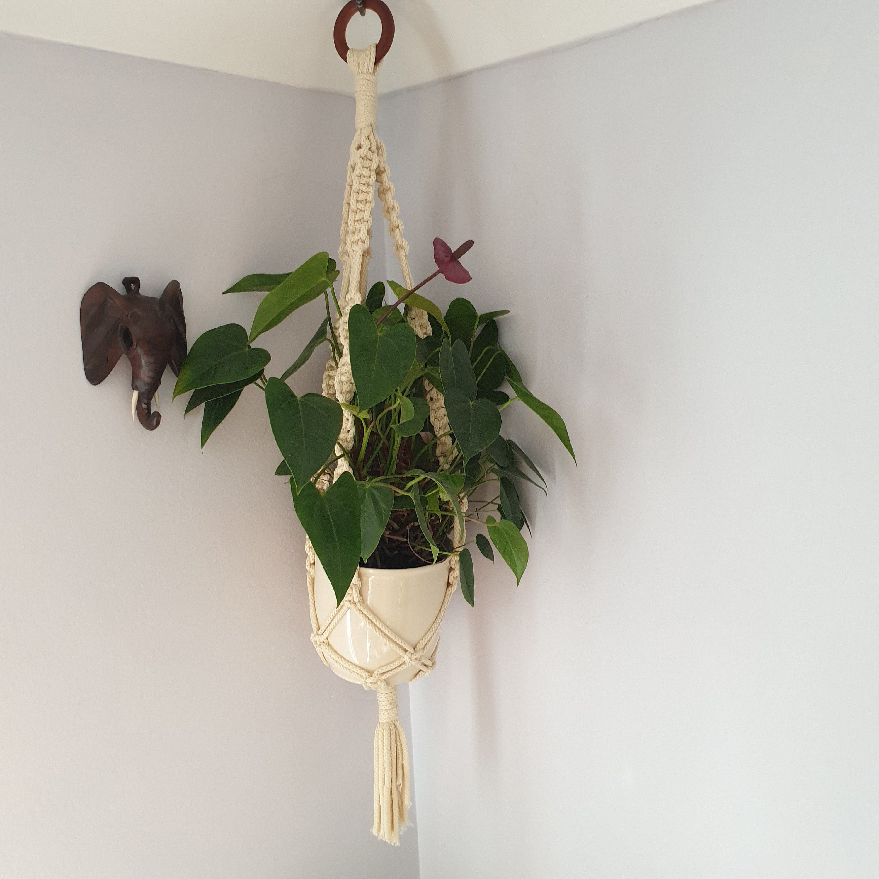 Macramé Plant Hanger /Bird feeder Bird bath Indoors/Outdoors Etsy
