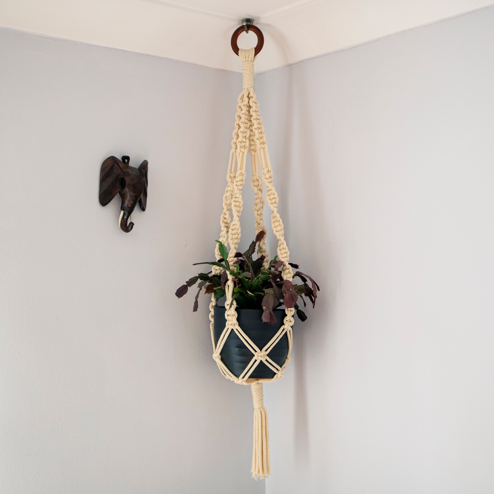 Macramé Plant Hanger /Bird feeder Bird bath Indoors/Outdoors Etsy