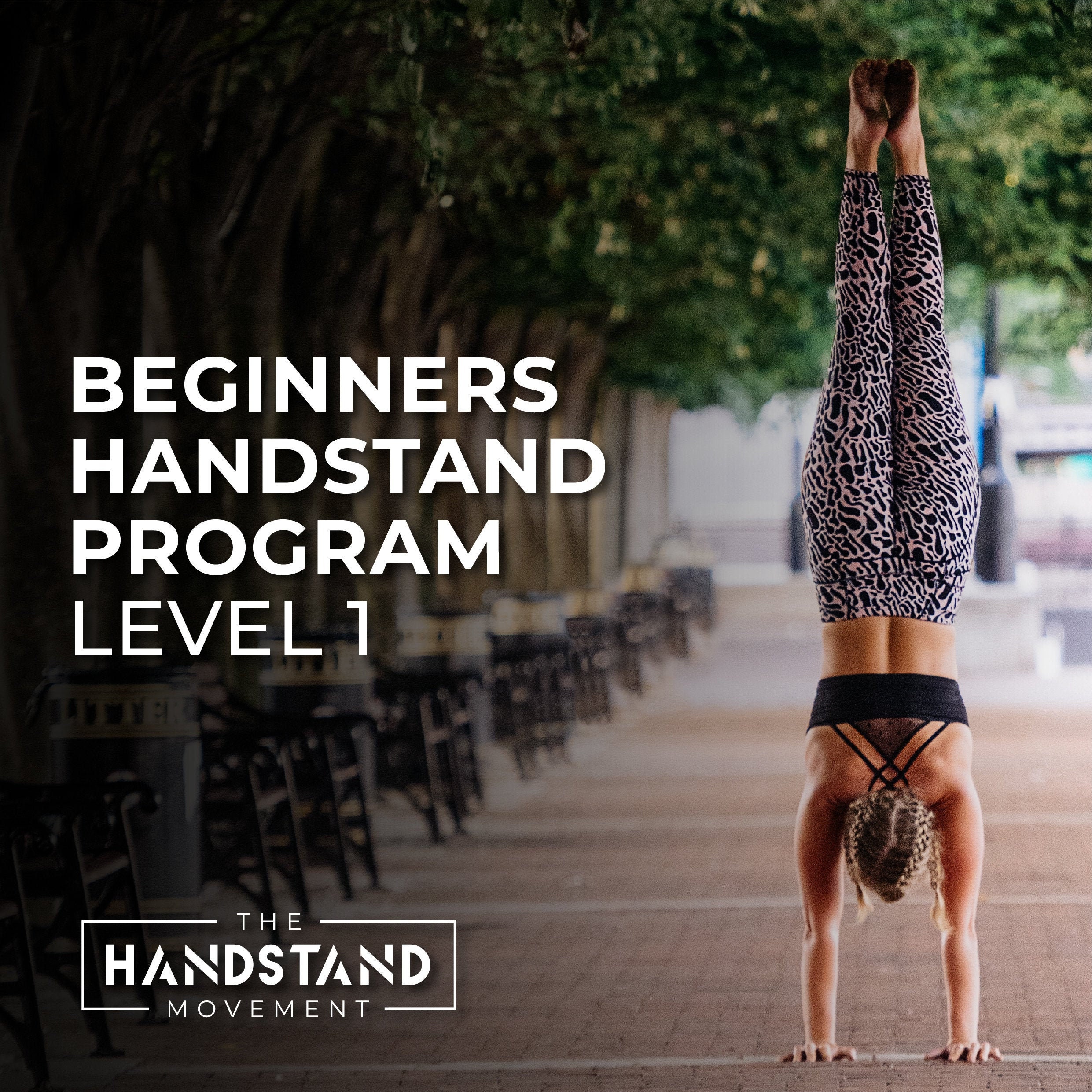 Beginners Handstand Program Level 1 Etsy