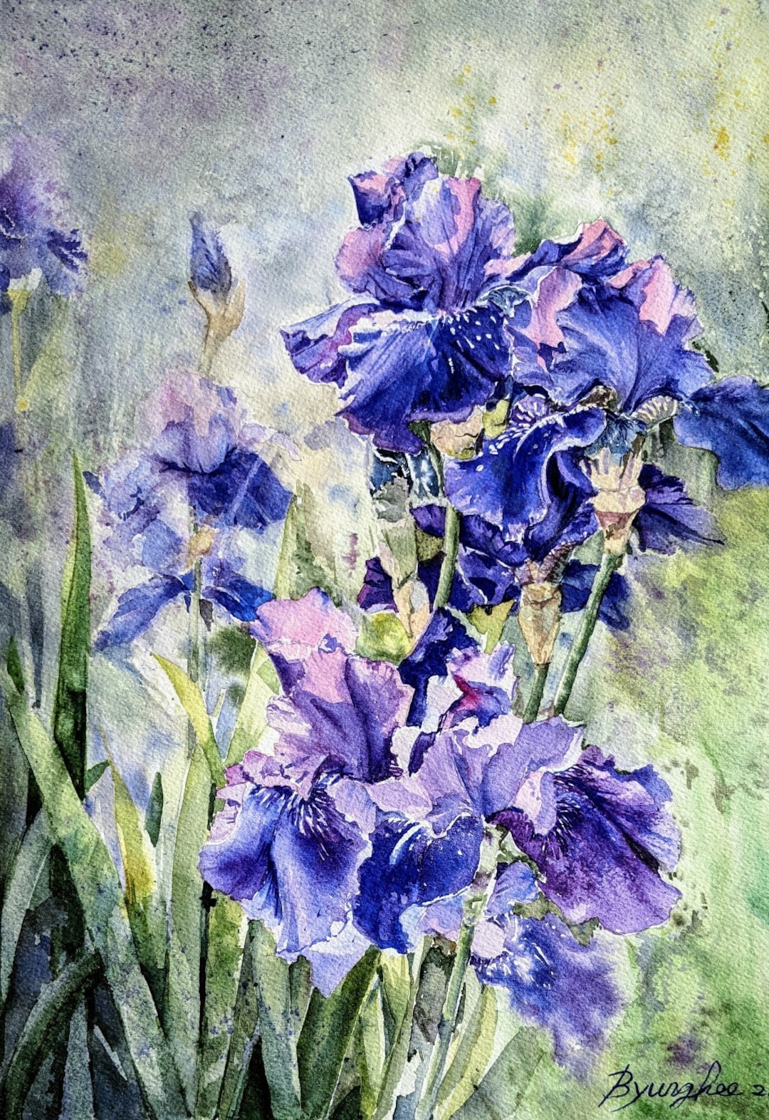 Iris, Original Watercolor Painting, Flower Art. Etsy