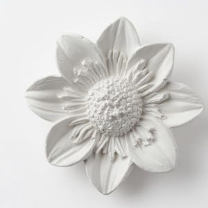 Könnte beinhalten: Ein weißes, mattes Blumenornament mit einer strukturierten Mitte, die von mehreren glatten, spitz zulaufenden Blütenblättern umgeben ist. Das Objekt ist als dreidimensionales Relief gestaltet und zeigt eine detaillierte botanische Form.