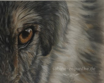 Original, regard, œil, loup, portrait animalier, crayons pastel, 100% peint à la main, signé