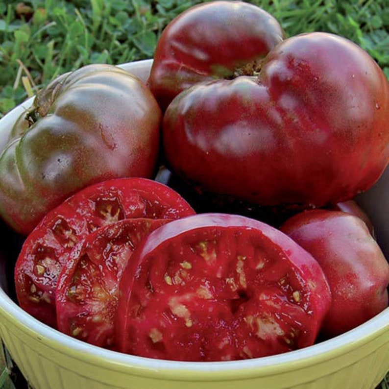 Black Krim Tomato Seeds Indeterminate Tomato Plant Most Etsy