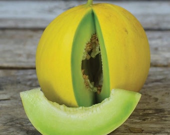 Golden Honeymoon Melon Seeds, Cucumis Melo, Sweet Bright Yellow Melon, Fruit Seed, Garden Seed, Good Tasting Large Melon, Easy Melon to Grow
