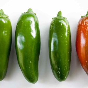 Jalapeno Chili Pepper Seeds, Green Pepper Seeds, Medium Hot Peppers, Easy to Grow Plant, Jalapeno Peppers, Good Tasting Pepper, Garden Seeds