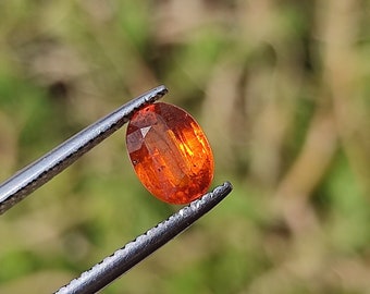 KYANIT Kristall Cabochon - Oval Slipad Orange Kyanit Cabochon - Kyanit Lös Cabochon - Läkande Kristaller - Trådlindning - Kyanithänge