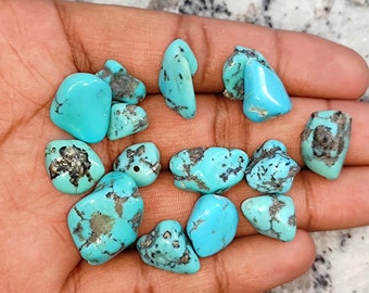 May include: A collection of 12 turquoise stones, each with a unique shape and size. The stones are a light blue color with brown and black markings.