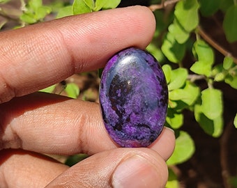 Butw Véritable Africain Sugilite 5.9 CT Poire Cabochon Lapidaire Gemme