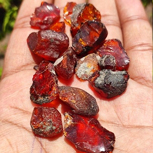 Beautiful RAW BALTIC AMBER Crystal gemstone, wholesale natural rough Baltic amber Crystal lot for healing purpose image 10