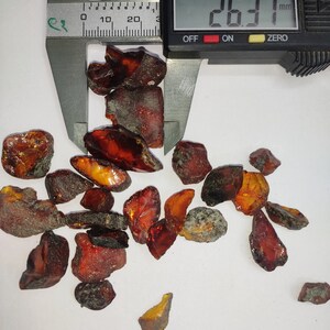 Beautiful RAW BALTIC AMBER Crystal gemstone, wholesale natural rough Baltic amber Crystal lot for healing purpose image 8