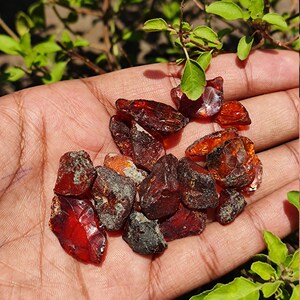 Beautiful RAW BALTIC AMBER Crystal gemstone, wholesale natural rough Baltic amber Crystal lot for healing purpose image 5