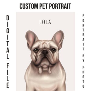 Custom digital pet portrait personalized, cartoon, funny, dog, cat, Yorkshire terrier, French bulldog, corgi, spaniel, Maine coon, Siamese