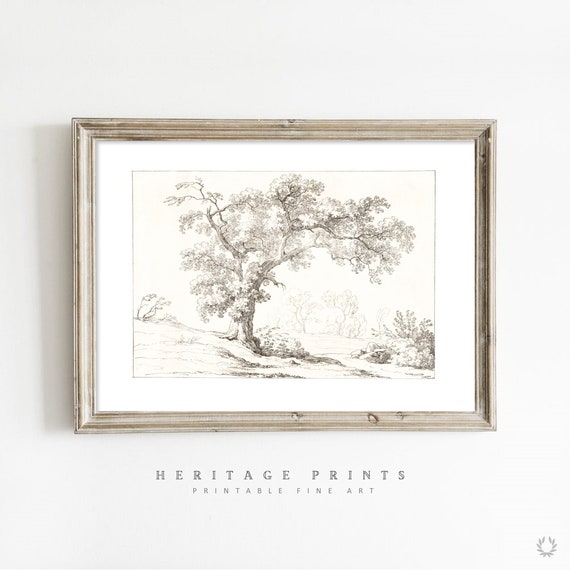 Vintage Tree Etching, Rustic Black and White Trees Illustration, Antique Sketch Digital Download, Antique Ivory Color Botanical Drawing