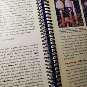 The Ultimate Guide to Psilocybin Mushrooms: Spiral Bound Edition main image 1