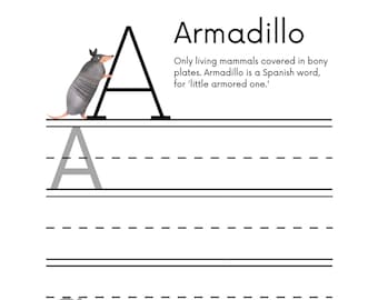 ABC&#39;s voor Pre-k tot en met de kleuterschool - 141 pagina&#39;s - afdrukbare pdf
