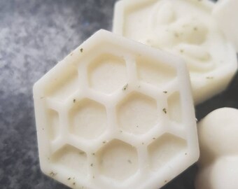 Wild Mint highly fragranced wax melts